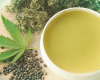 Features of best CBD cream for pain relief